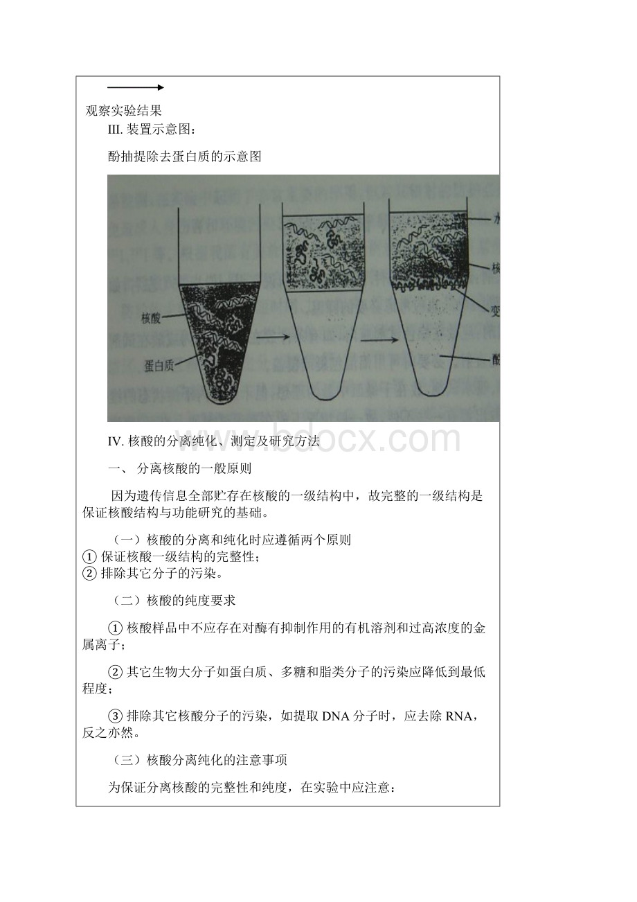 分子生物学实验报告.docx_第3页