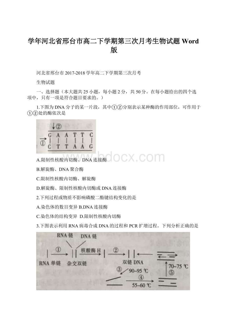 学年河北省邢台市高二下学期第三次月考生物试题 Word版.docx