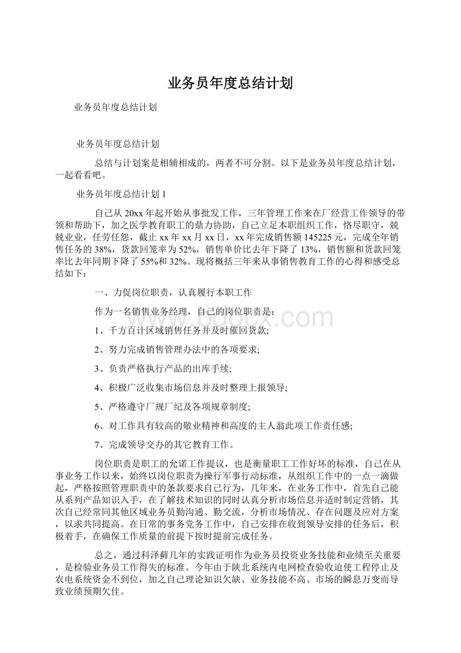 业务员年度总结计划.docx_第1页