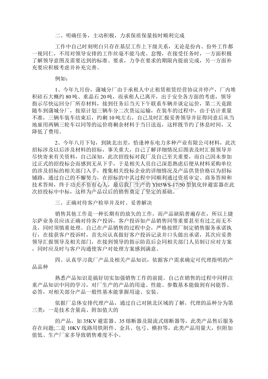 业务员年度总结计划.docx_第2页