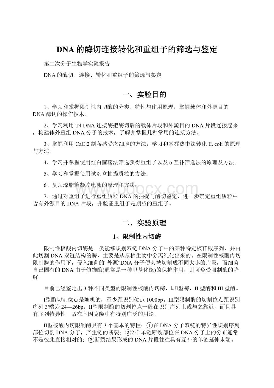 DNA的酶切连接转化和重组子的筛选与鉴定.docx_第1页