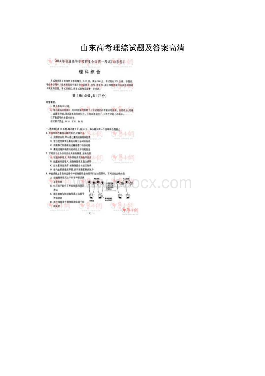 山东高考理综试题及答案高清Word文件下载.docx