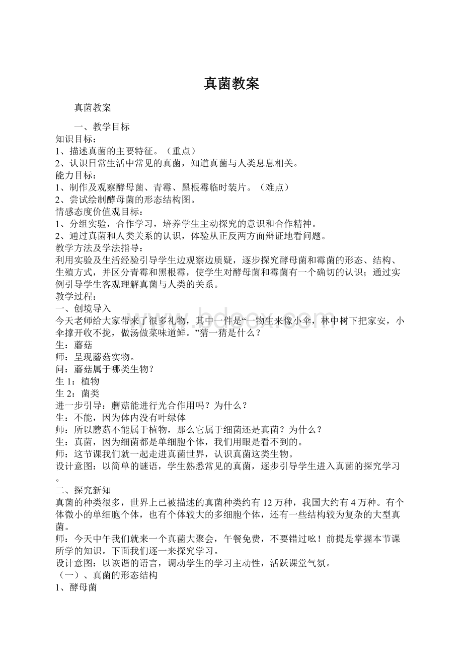 真菌教案文档格式.docx