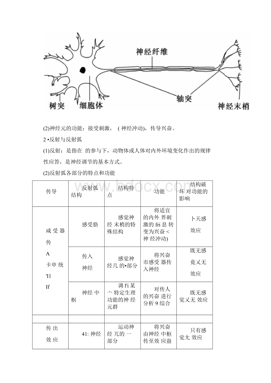 最新神经调节一轮复习学案.docx_第3页