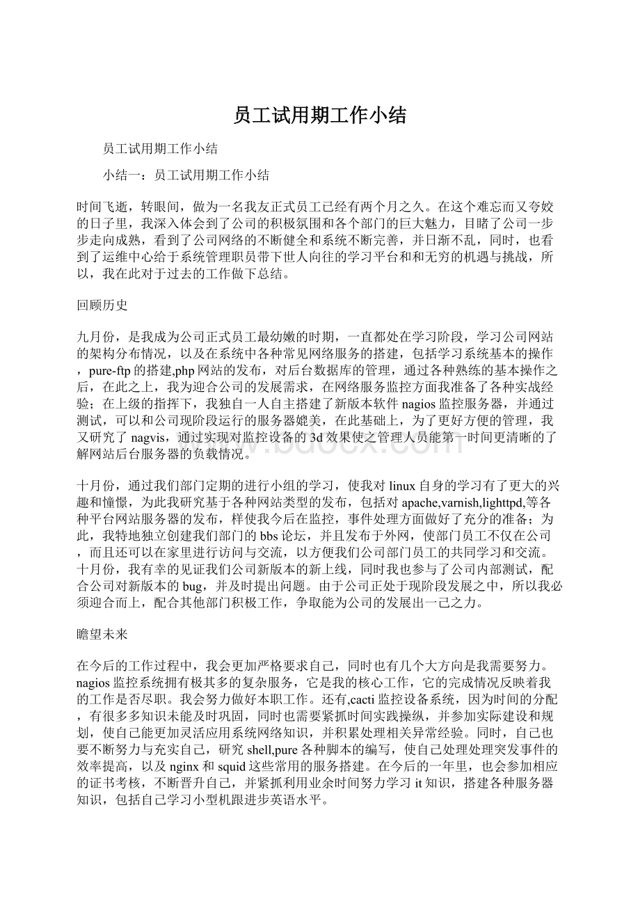 员工试用期工作小结文档格式.docx