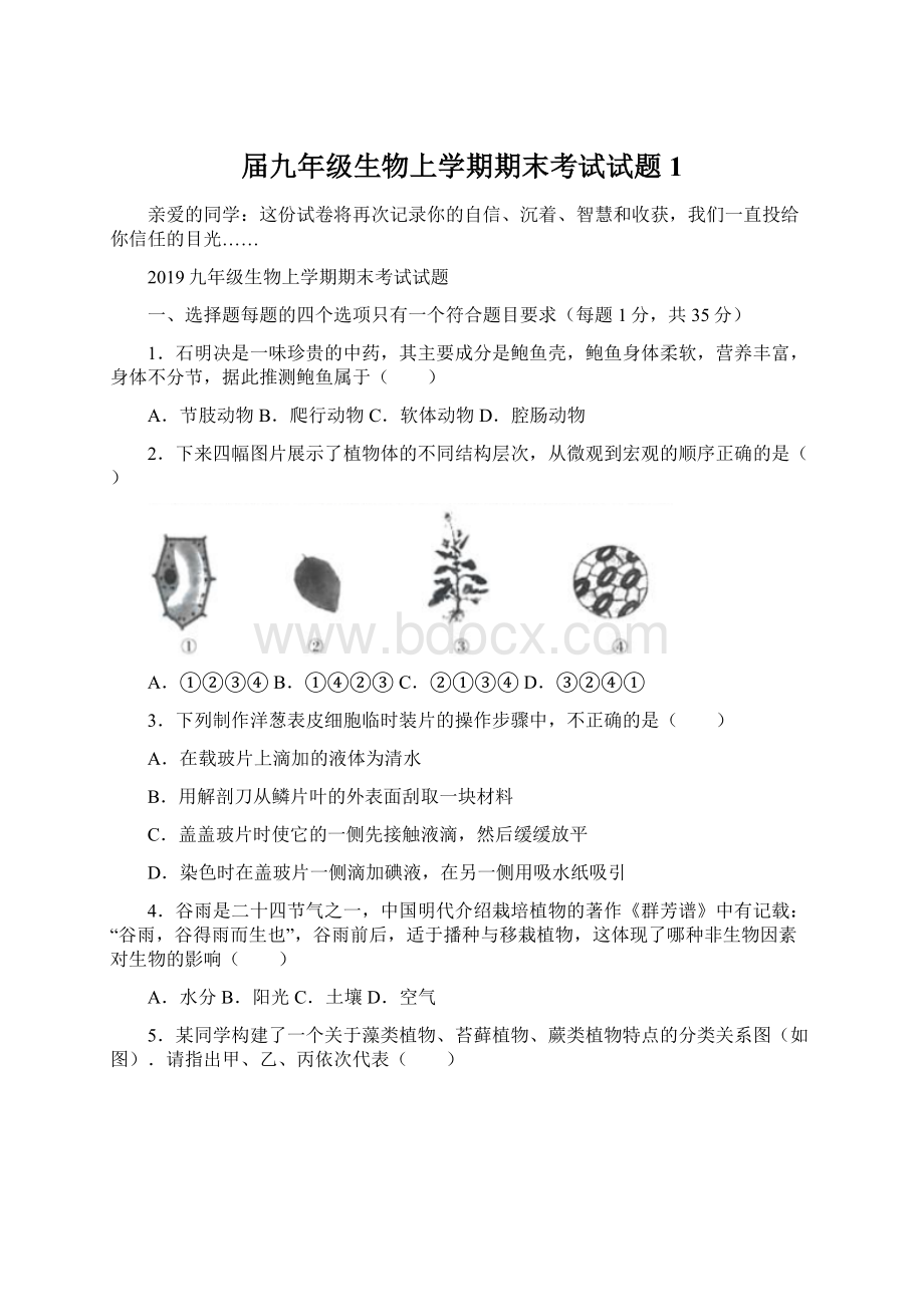 届九年级生物上学期期末考试试题1.docx