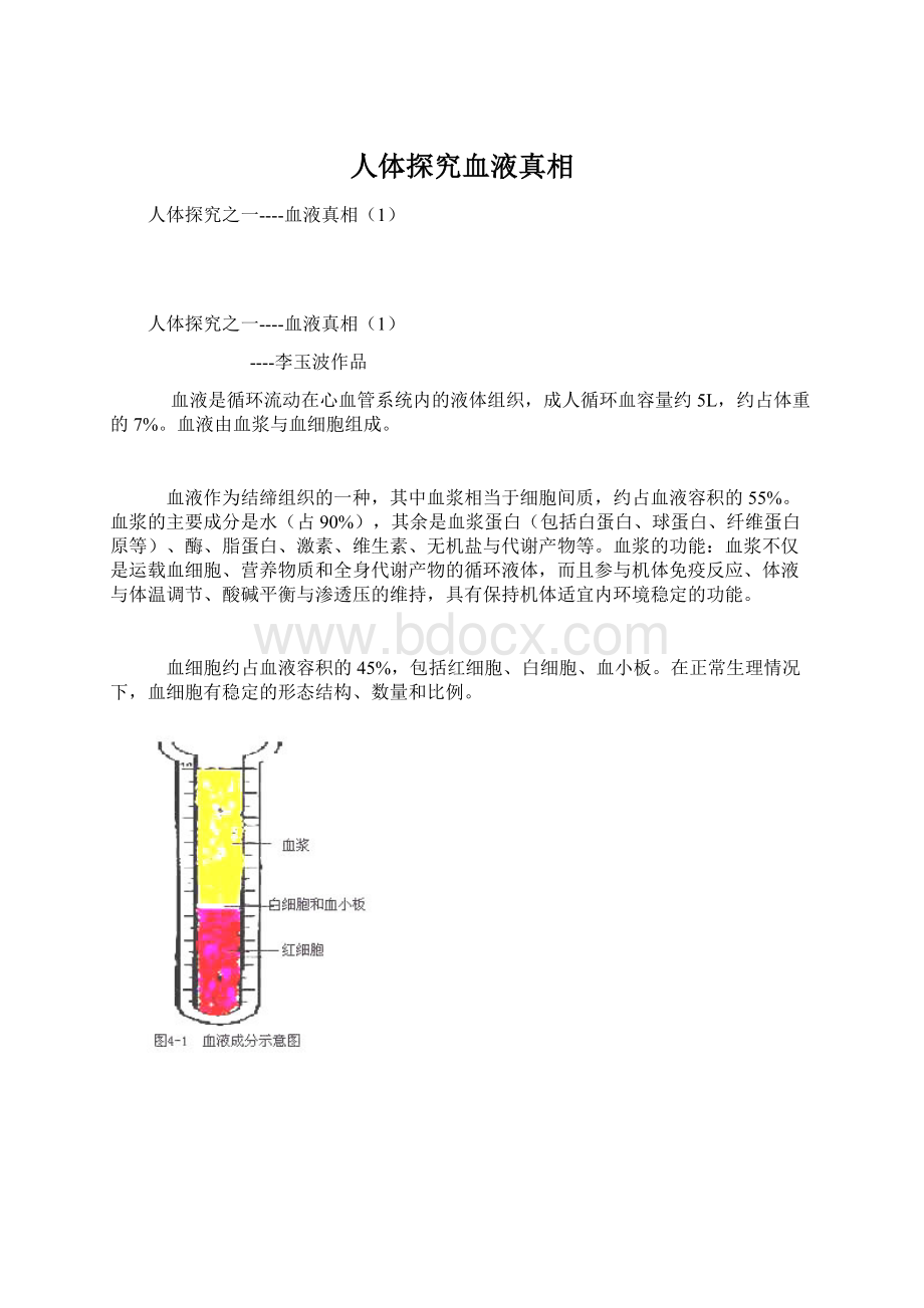 人体探究血液真相Word格式文档下载.docx