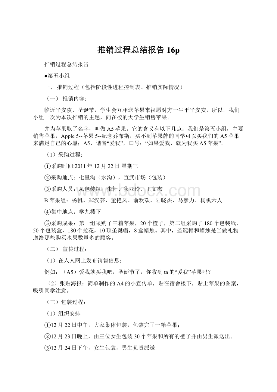 推销过程总结报告16pWord下载.docx