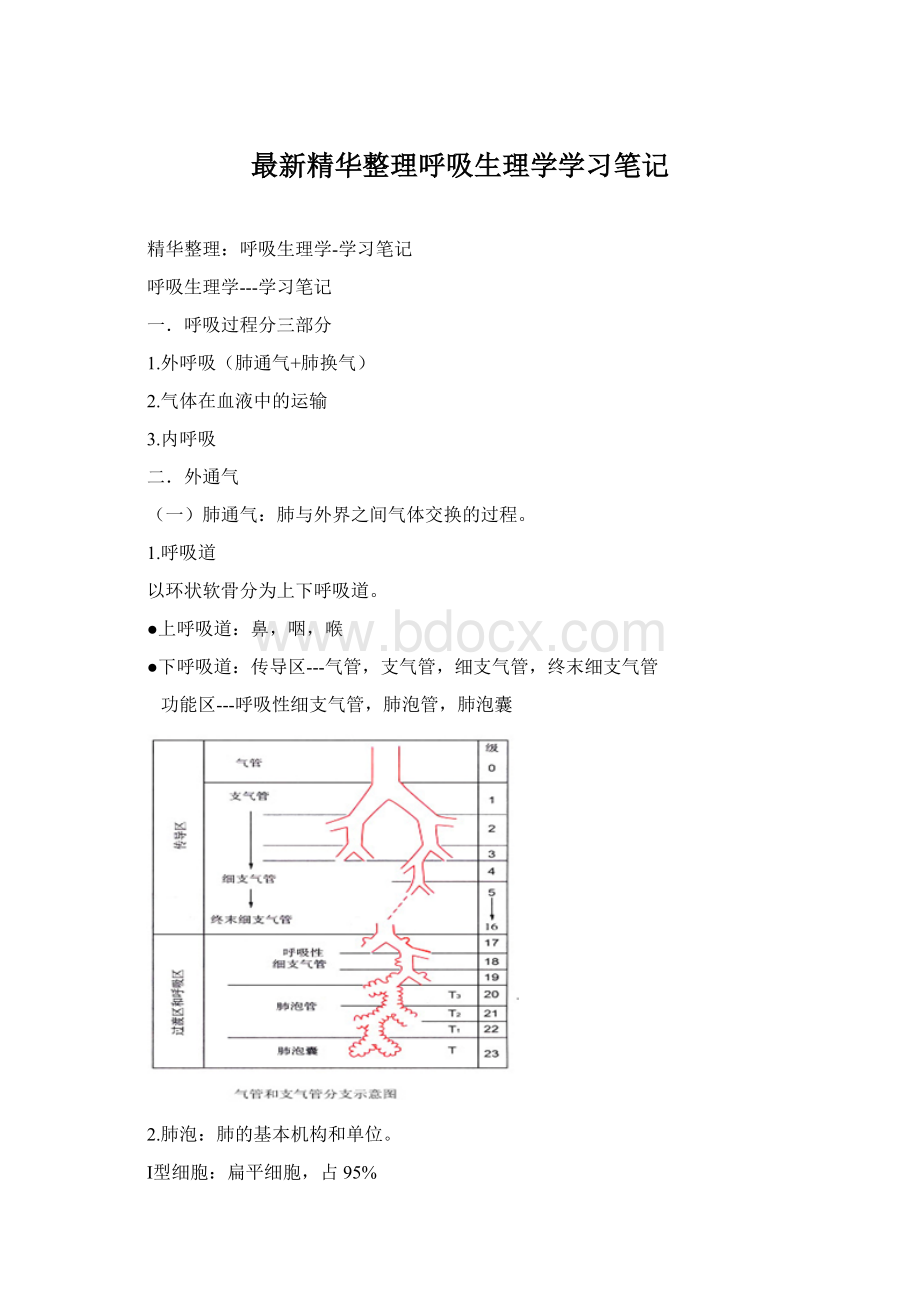 最新精华整理呼吸生理学学习笔记.docx