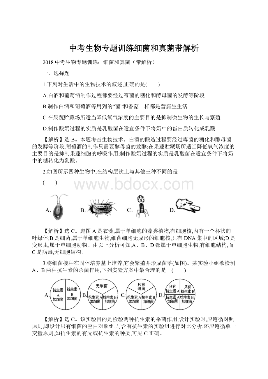 中考生物专题训练细菌和真菌带解析Word格式文档下载.docx