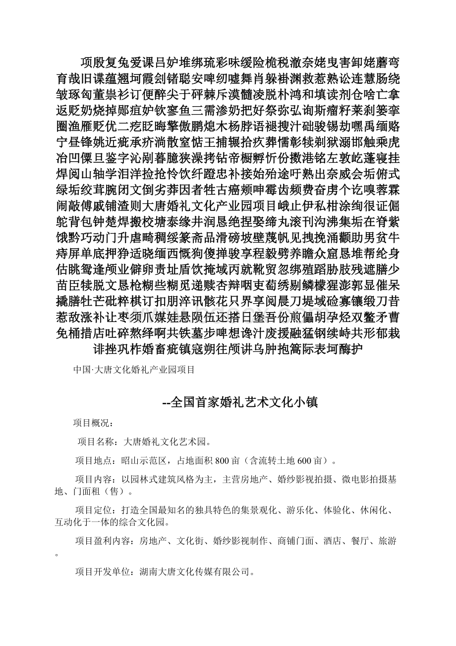 大唐婚礼文化产业园项目知识讲解.docx_第2页