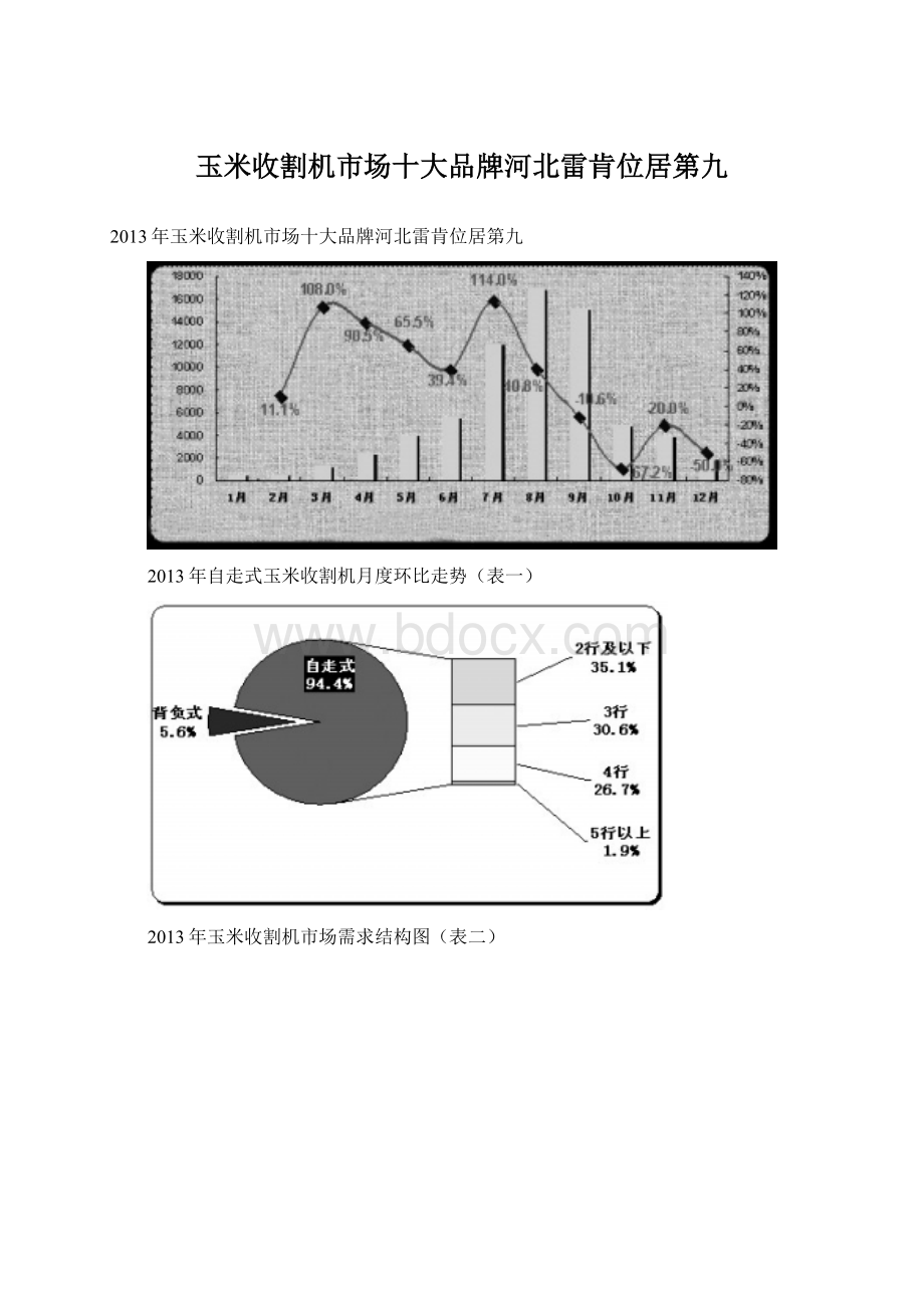 玉米收割机市场十大品牌河北雷肯位居第九.docx_第1页