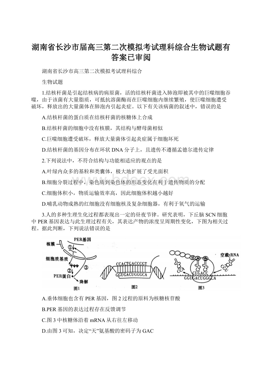 湖南省长沙市届高三第二次模拟考试理科综合生物试题有答案已审阅.docx_第1页