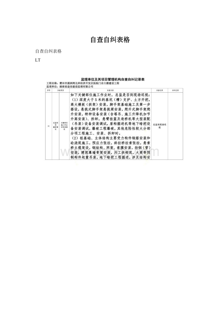 自查自纠表格Word文档下载推荐.docx