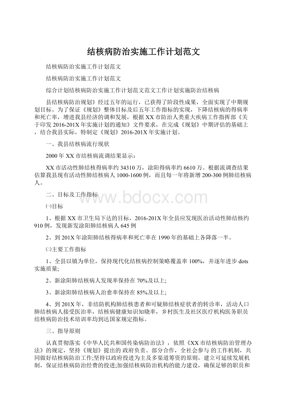 结核病防治实施工作计划范文Word文档格式.docx_第1页