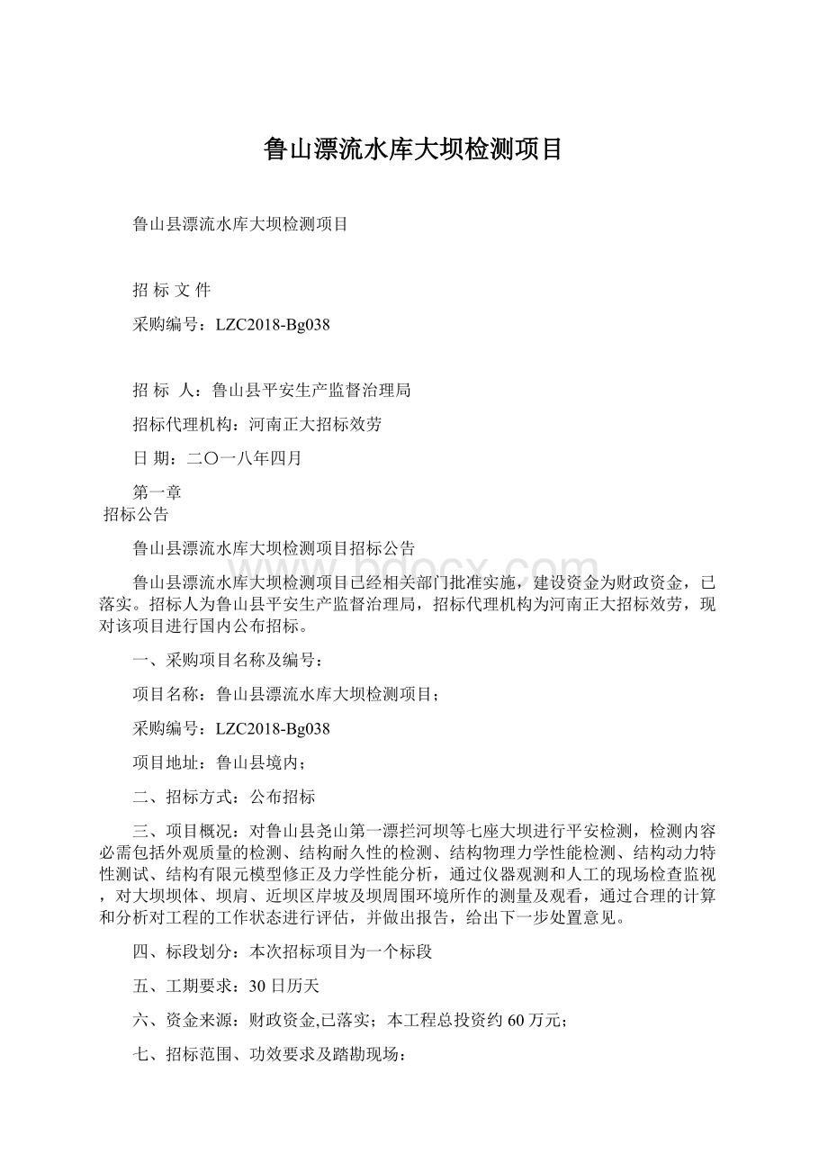 鲁山漂流水库大坝检测项目Word格式.docx_第1页