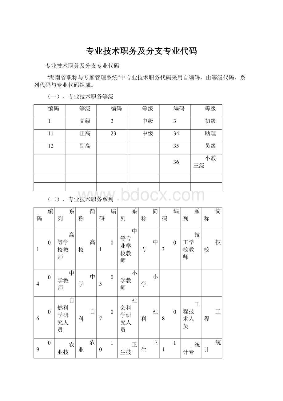 专业技术职务及分支专业代码.docx_第1页