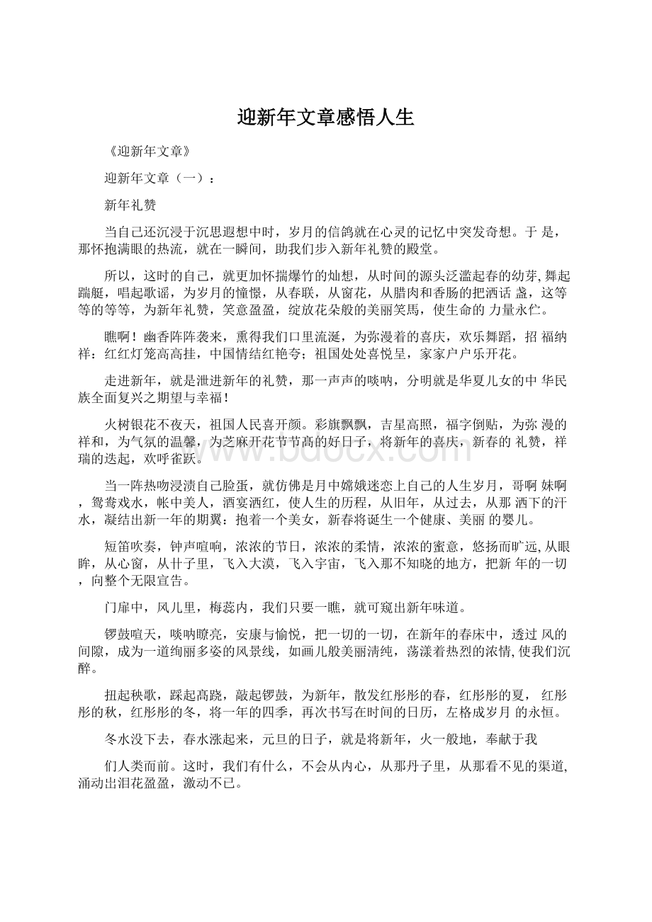 迎新年文章感悟人生Word格式.docx