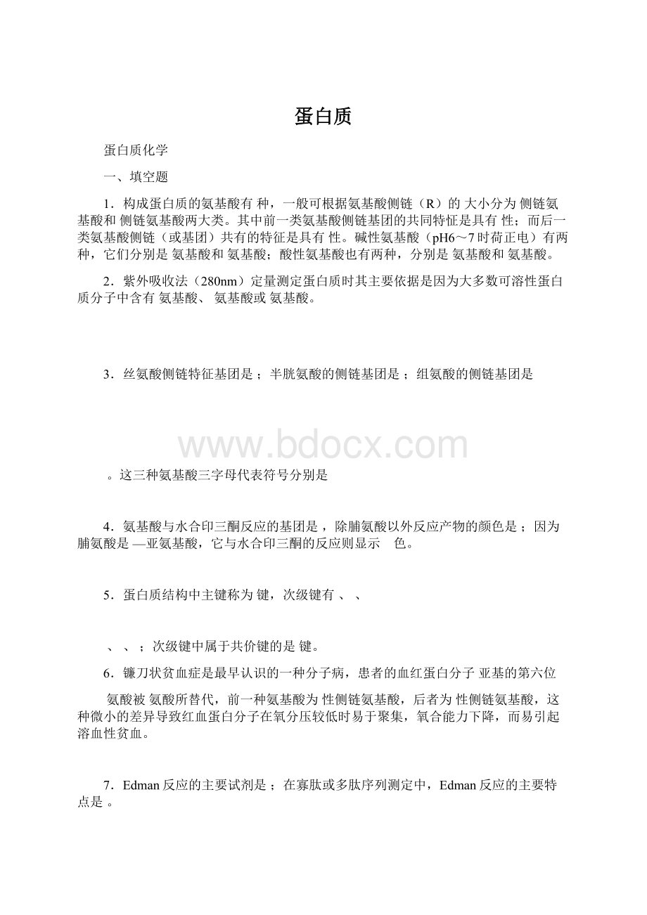 蛋白质Word格式文档下载.docx