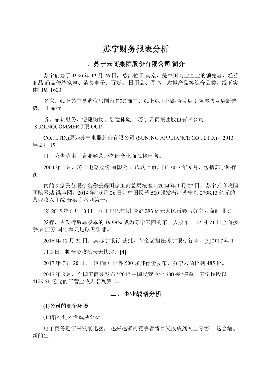 苏宁财务报表分析文档格式.docx_第1页