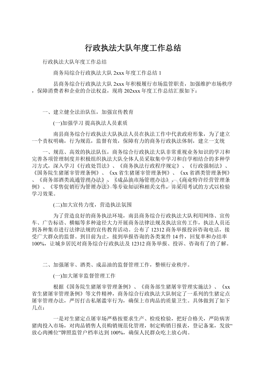 行政执法大队年度工作总结.docx_第1页