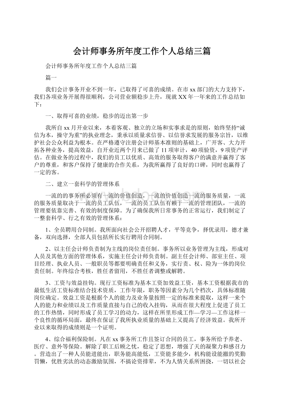 会计师事务所年度工作个人总结三篇Word下载.docx