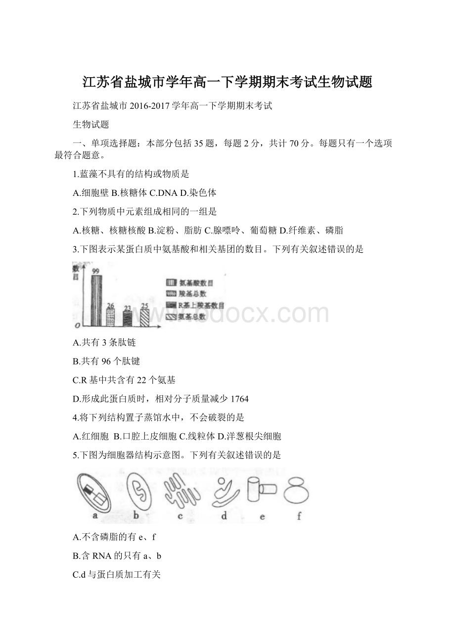 江苏省盐城市学年高一下学期期末考试生物试题.docx