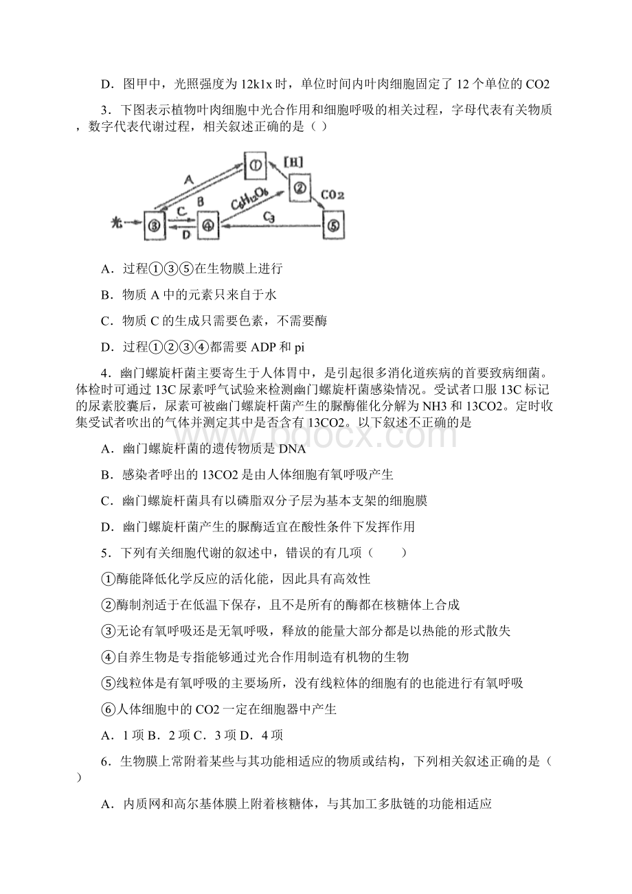 备战高考生物考点突破专题05 呼吸作用与光合作用原卷版.docx_第2页