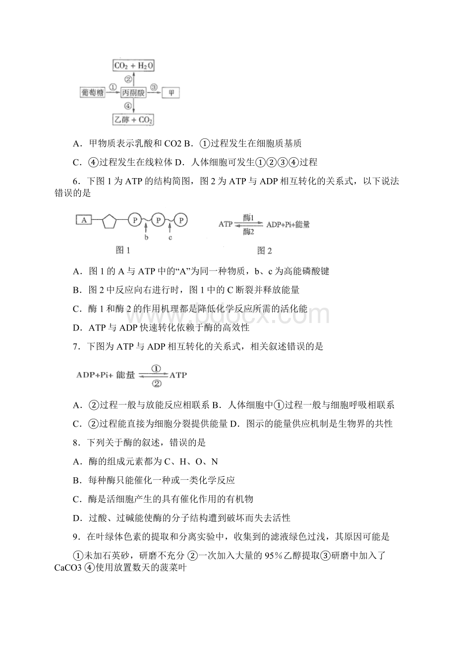 高中生物.docx_第2页