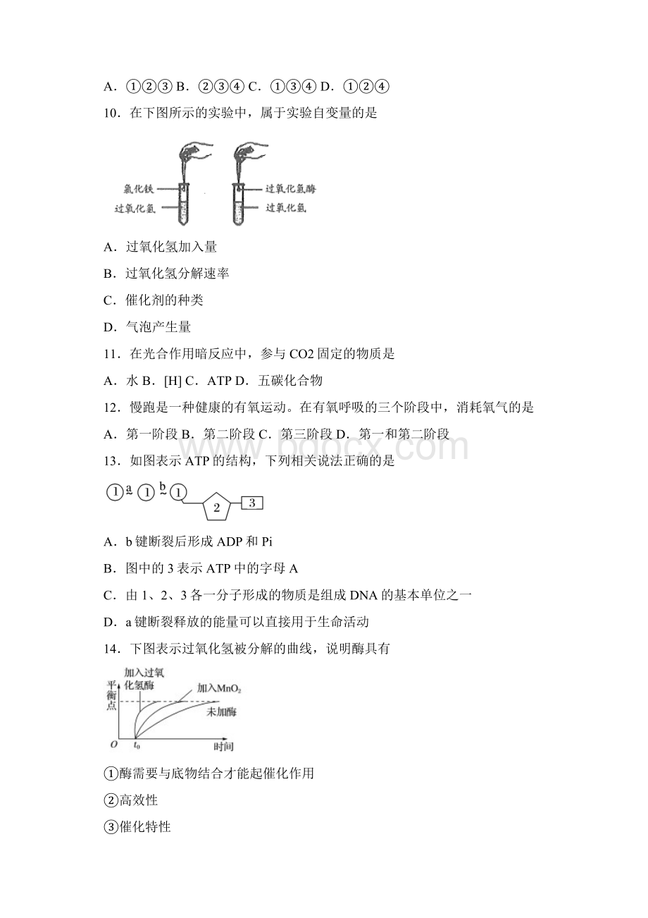 高中生物.docx_第3页