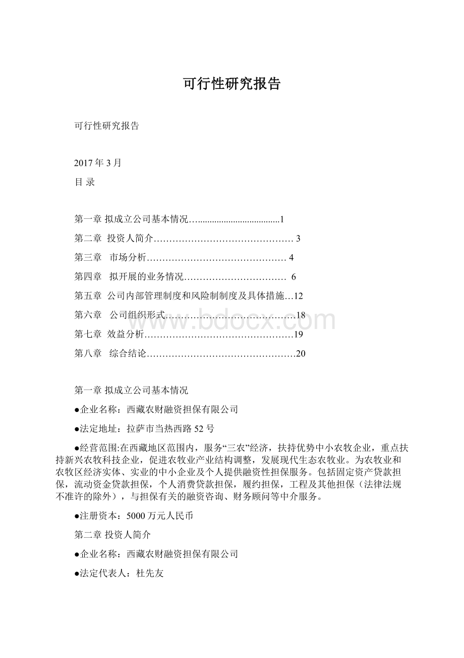 可行性研究报告Word格式文档下载.docx_第1页