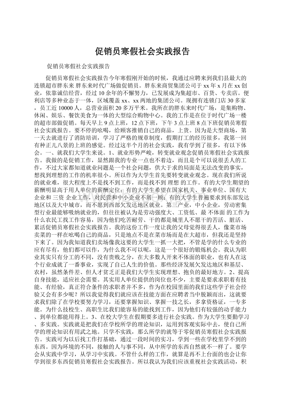 促销员寒假社会实践报告文档格式.docx