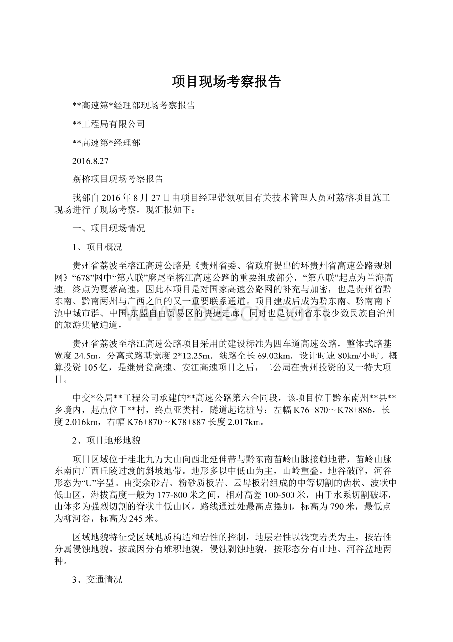 项目现场考察报告.docx_第1页