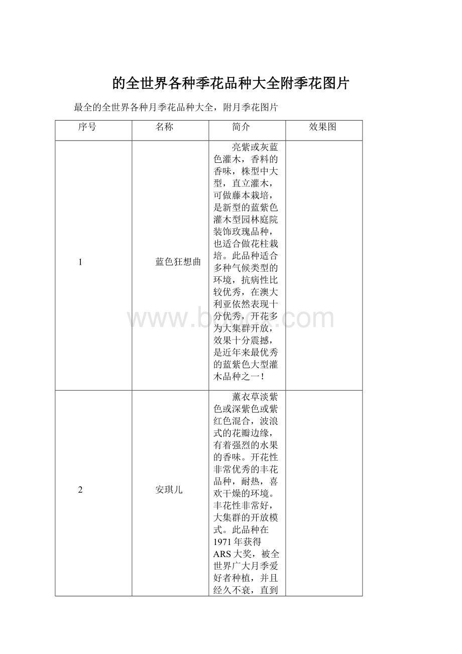 的全世界各种季花品种大全附季花图片Word格式.docx