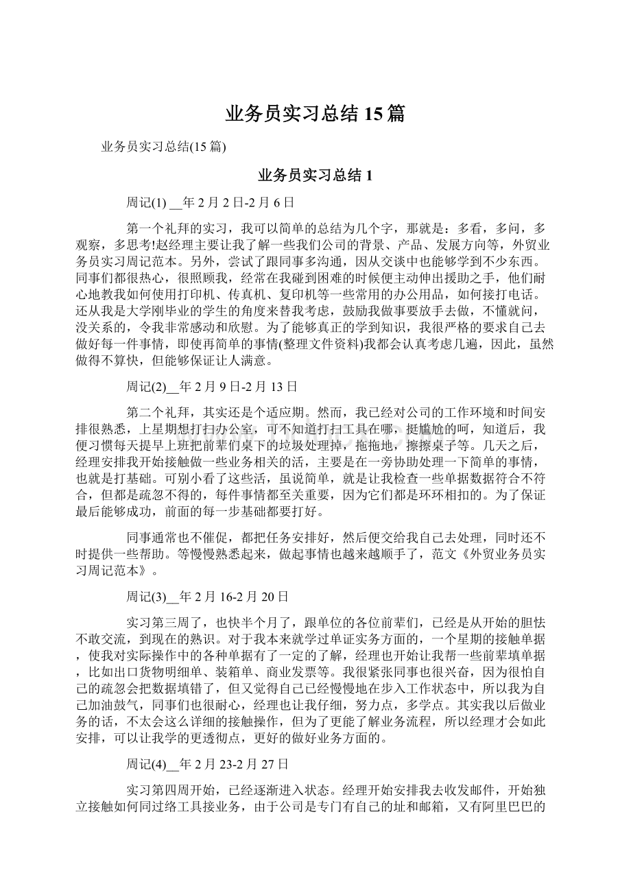 业务员实习总结15篇Word文档格式.docx_第1页