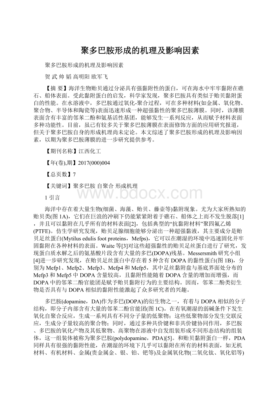 聚多巴胺形成的机理及影响因素Word格式.docx