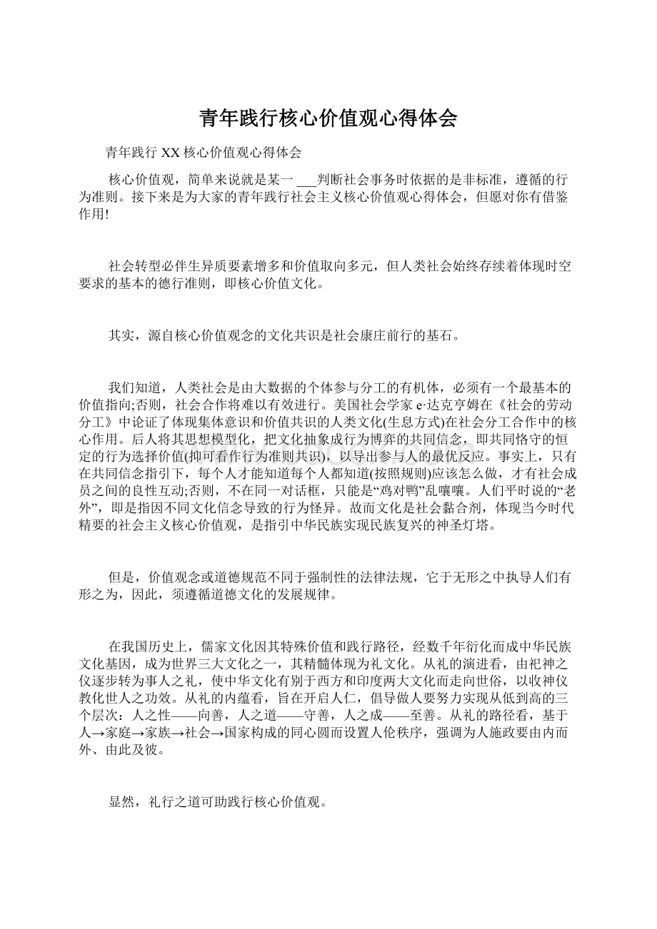 青年践行核心价值观心得体会Word文档下载推荐.docx