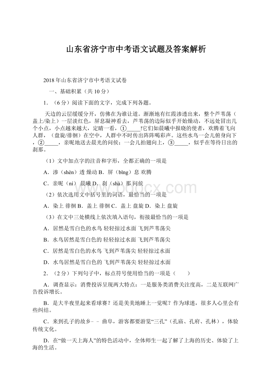 山东省济宁市中考语文试题及答案解析.docx_第1页