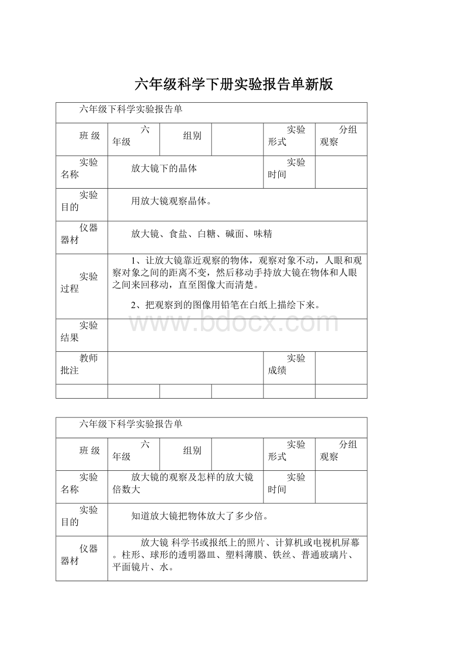 六年级科学下册实验报告单新版文档格式.docx_第1页