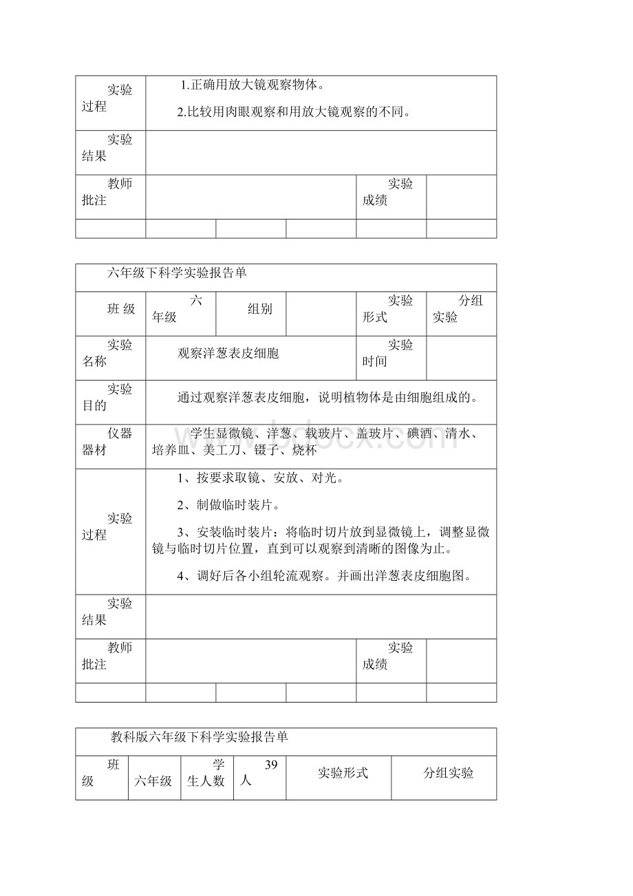 六年级科学下册实验报告单新版文档格式.docx_第2页