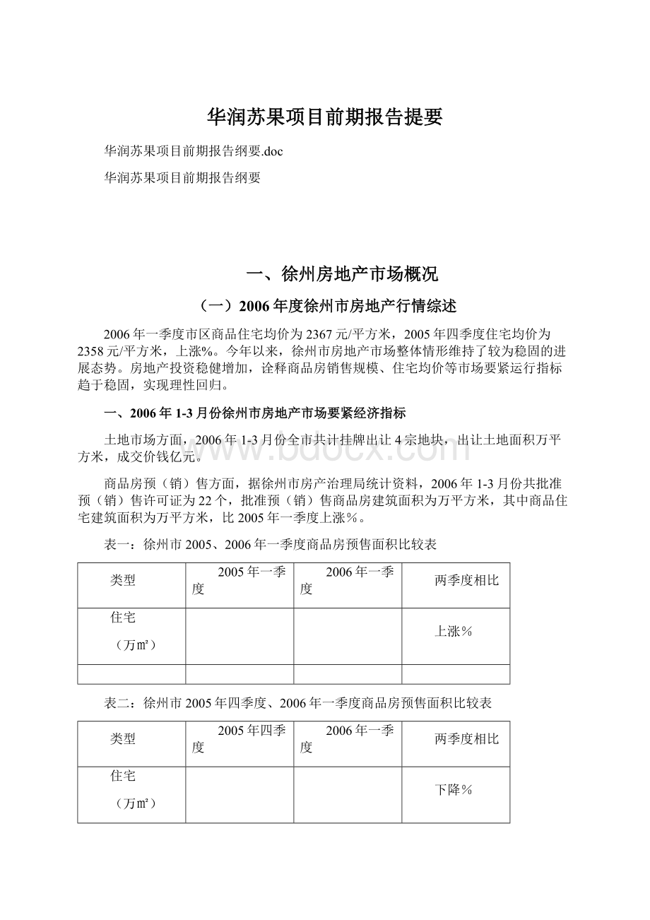 华润苏果项目前期报告提要Word格式文档下载.docx