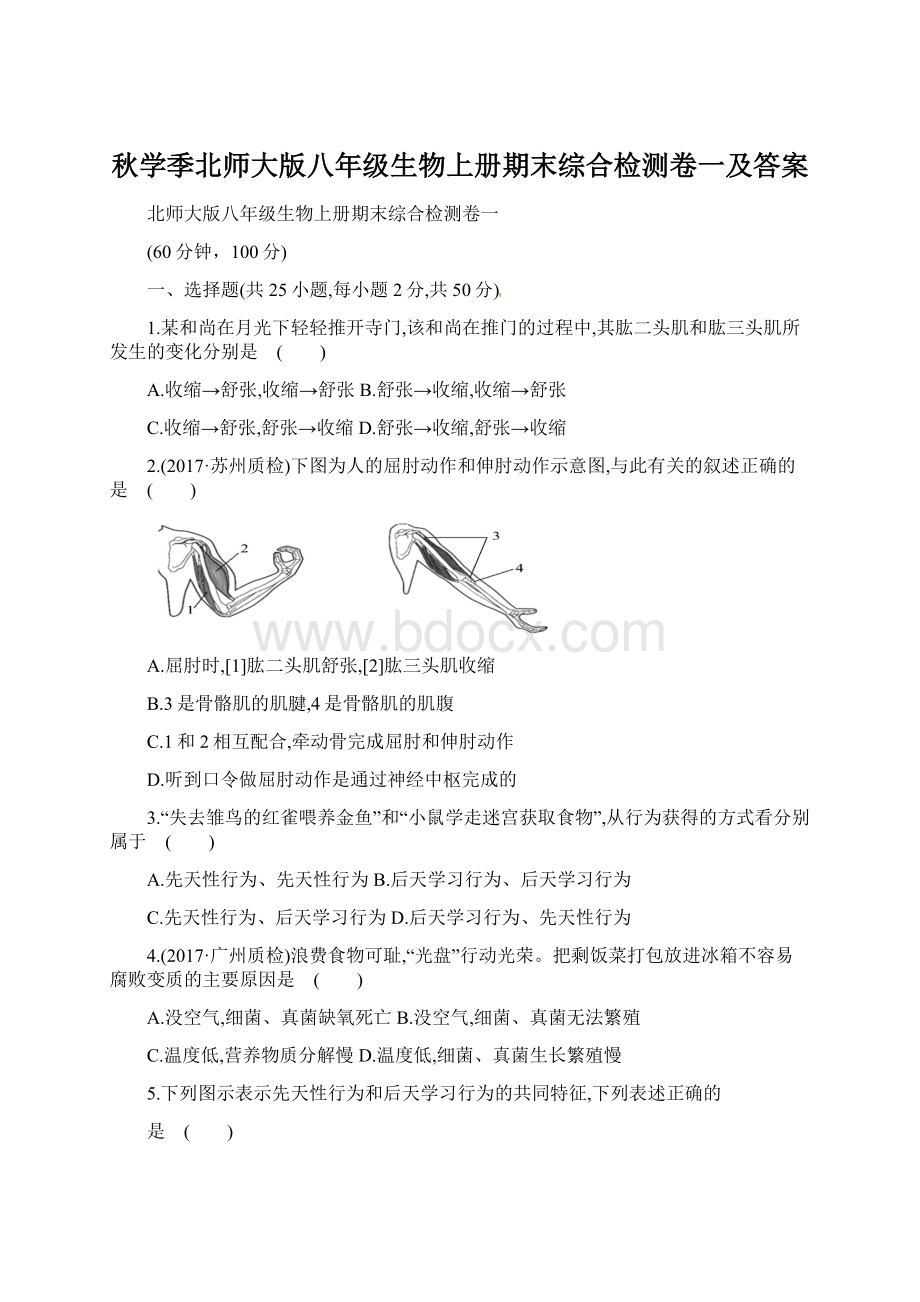 秋学季北师大版八年级生物上册期末综合检测卷一及答案Word格式.docx