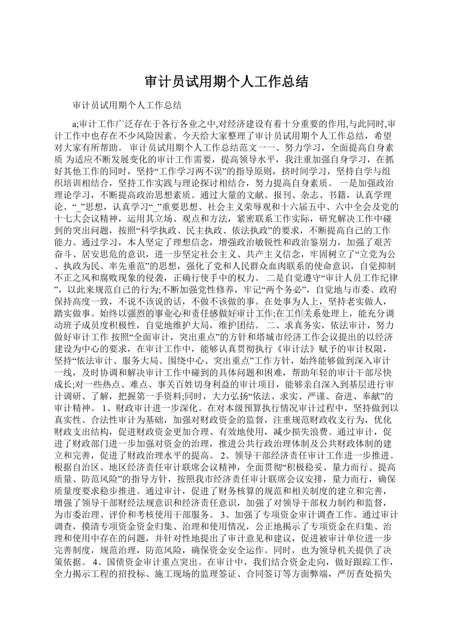 审计员试用期个人工作总结.docx