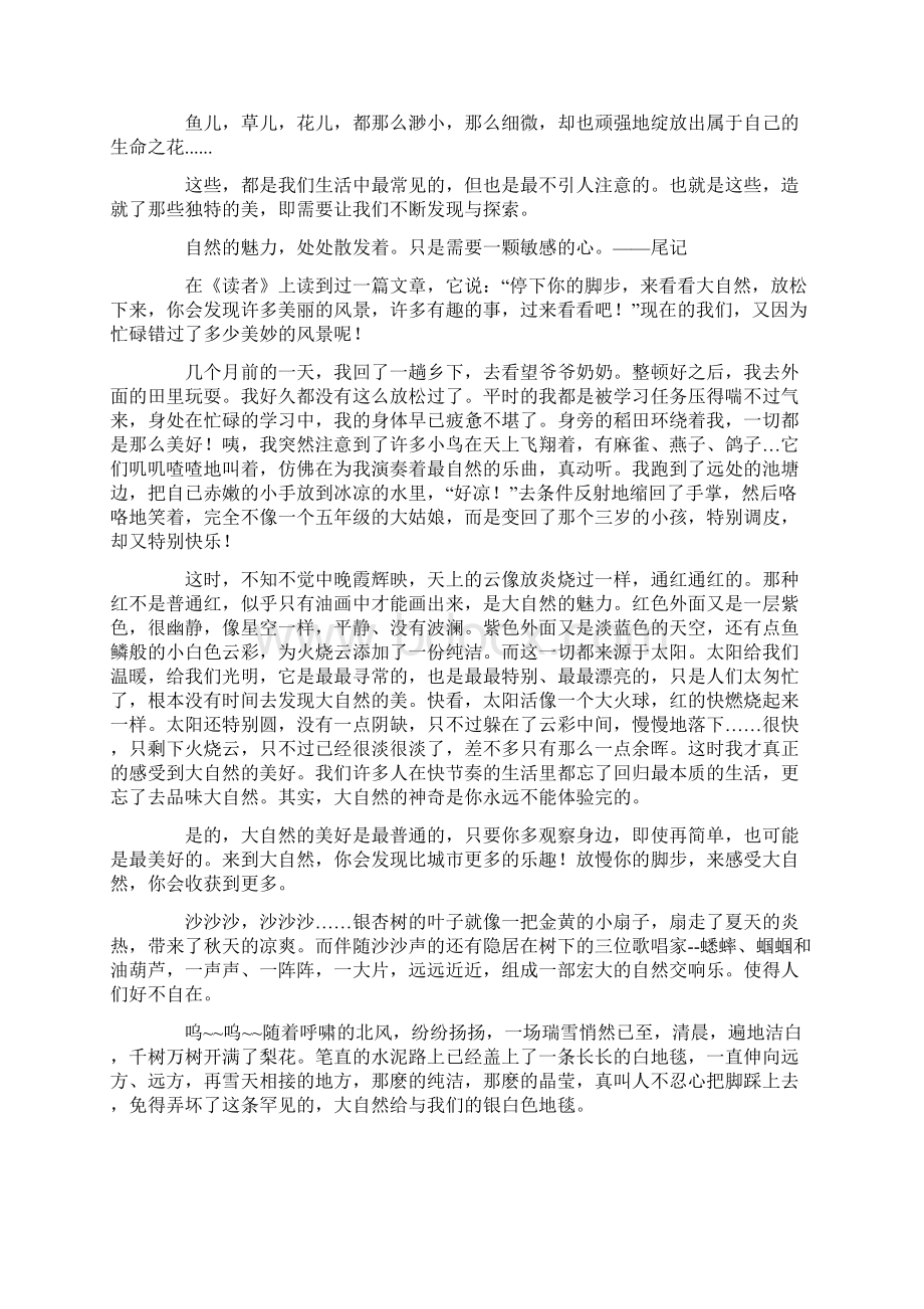 自然的魅力作文15篇精选.docx_第2页