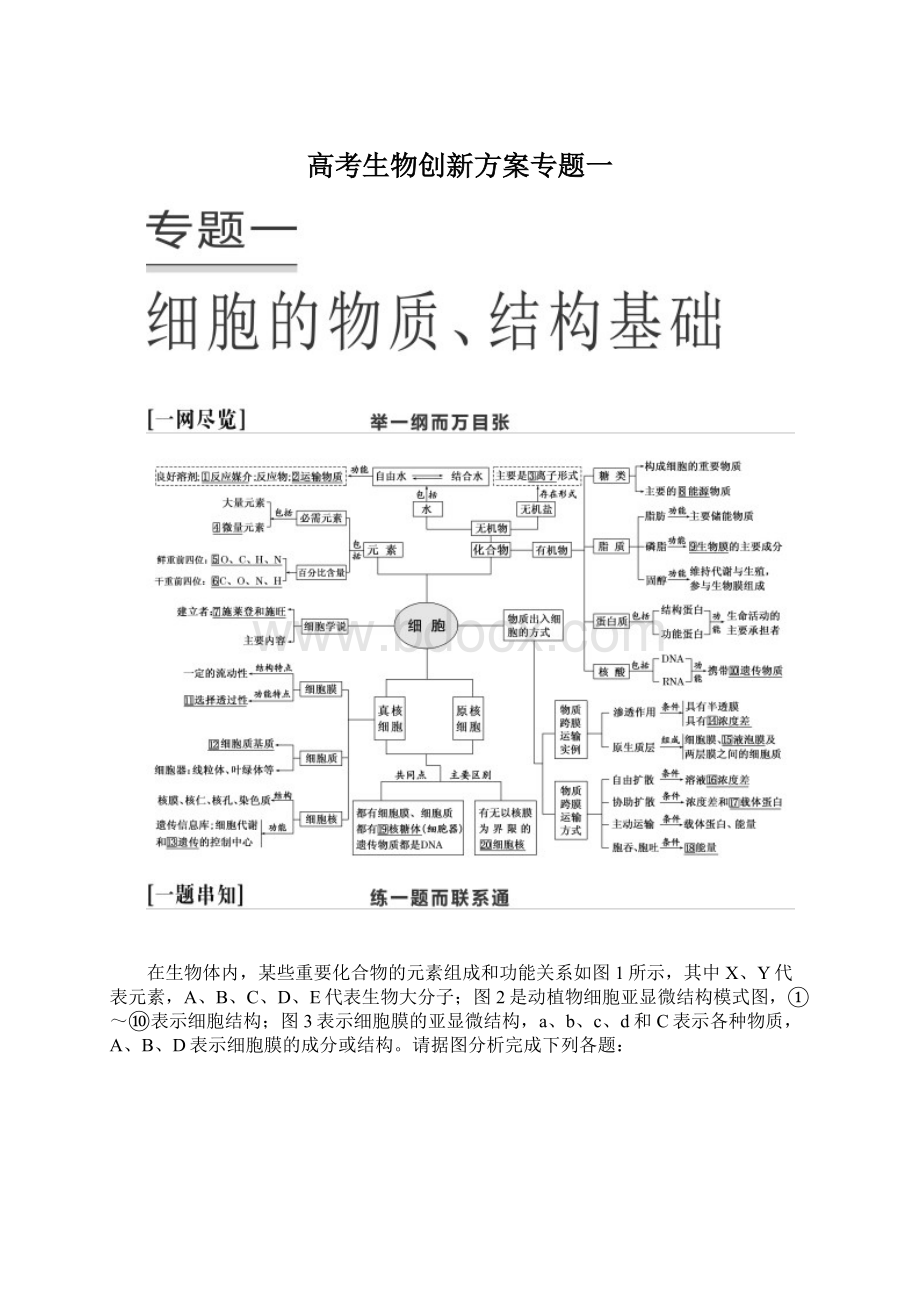 高考生物创新方案专题一.docx_第1页