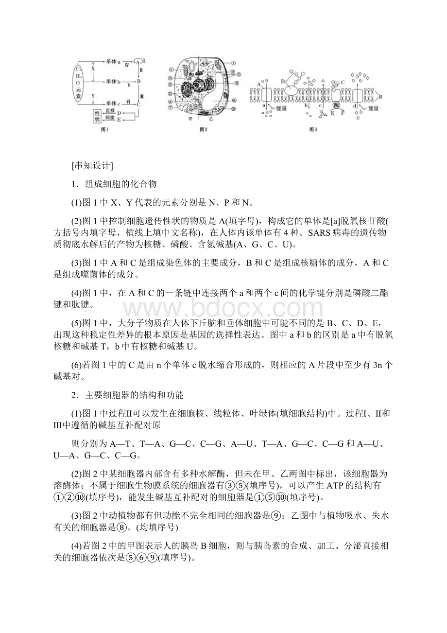 高考生物创新方案专题一.docx_第2页