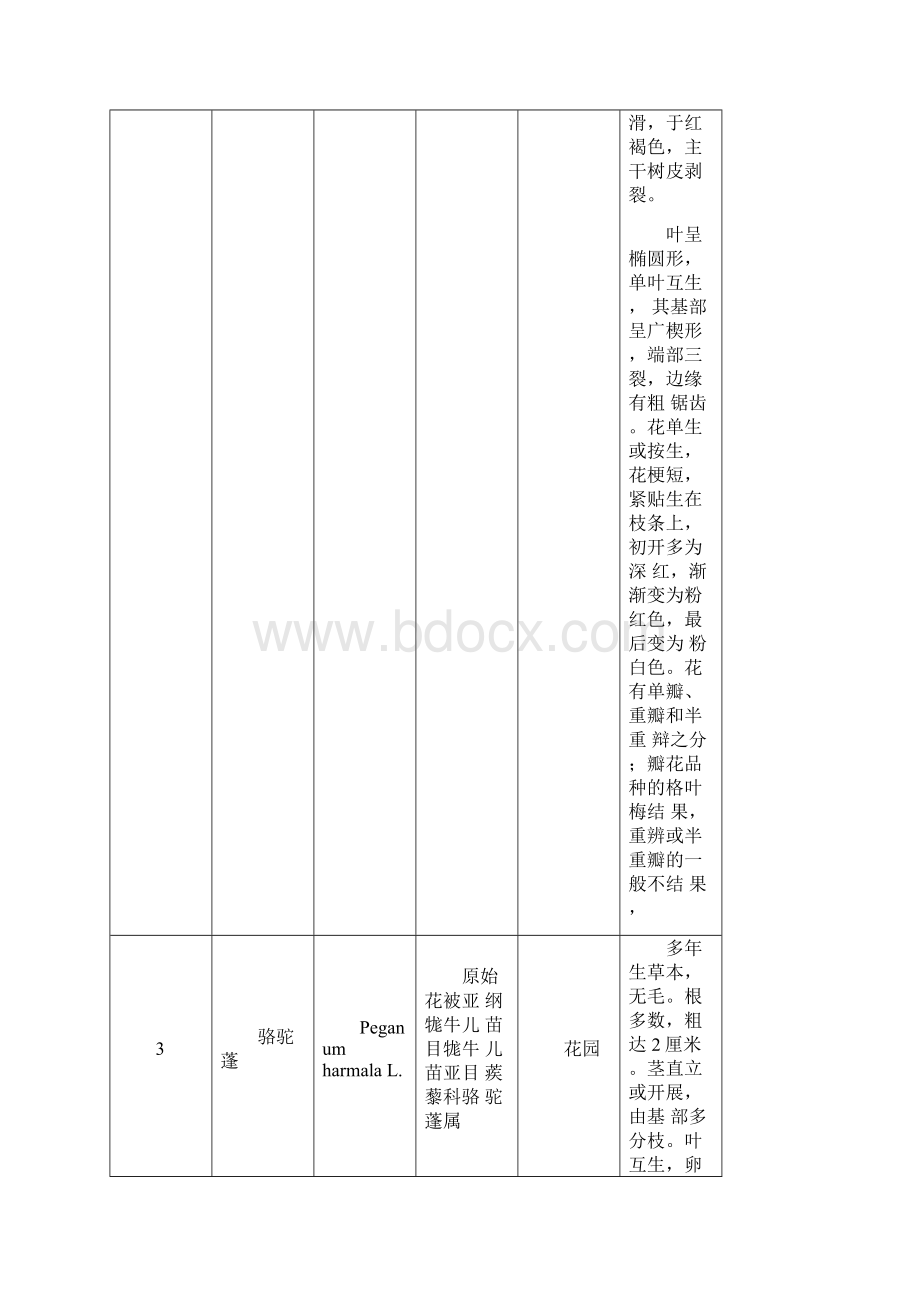 植物标本采集表.docx_第2页