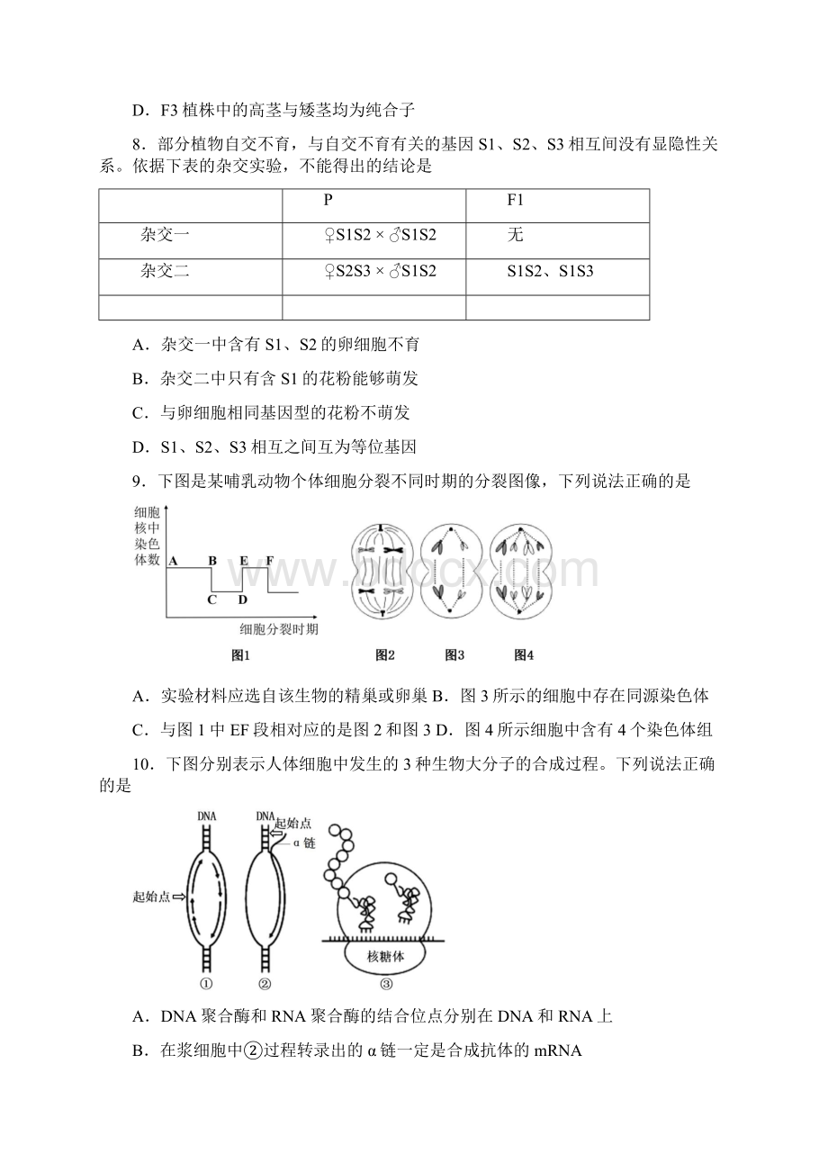 北京丰台区高三上期末生物Word文件下载.docx_第3页