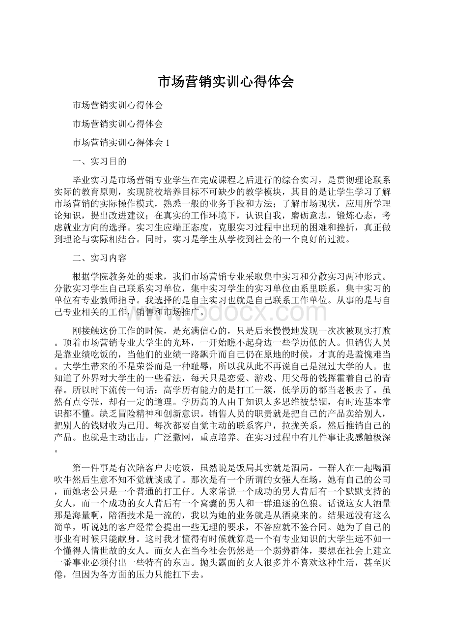 市场营销实训心得体会文档格式.docx_第1页