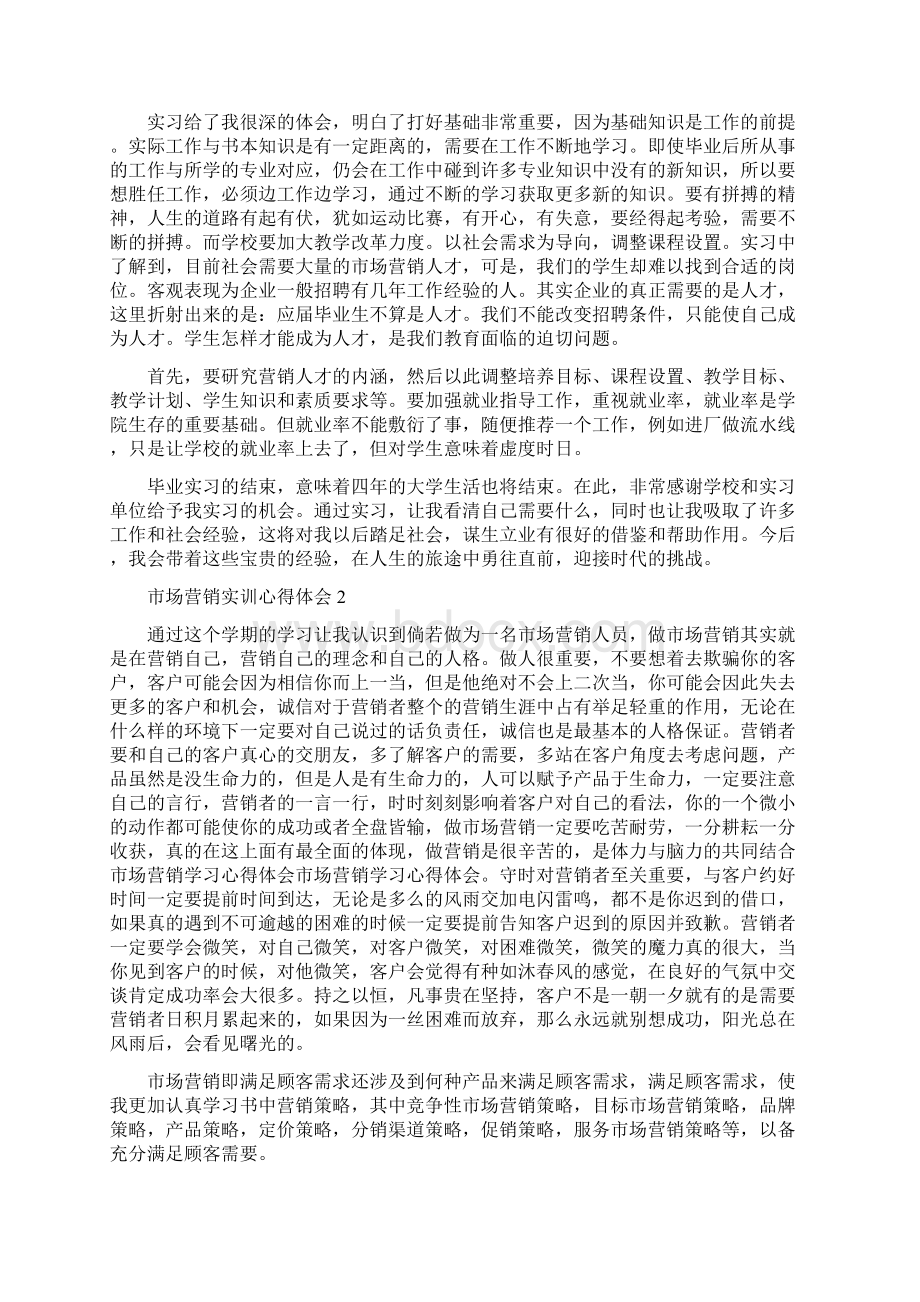 市场营销实训心得体会文档格式.docx_第3页